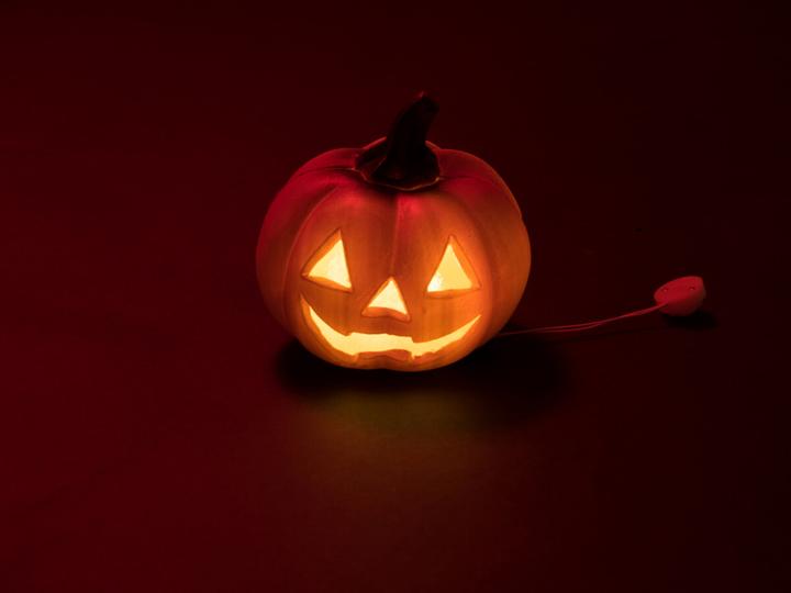 Image du produit Europalms Courge