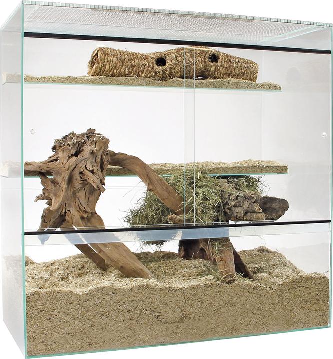 Image du produit Swisspet Terrarium 100
