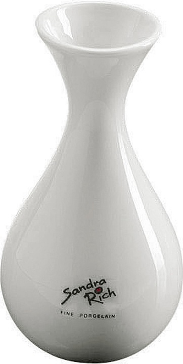 Immagine prodotto Sandra Rich Vaso Solo forma di bottiglia (1 x, 13 x 6 cm)