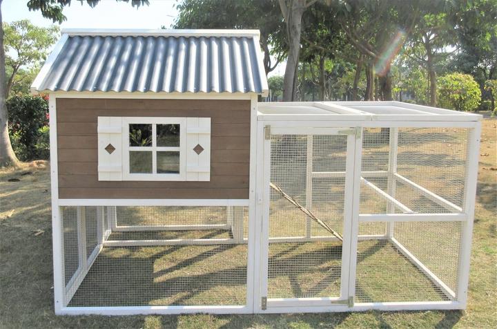 Produktbild Pet Homes Bettmeralp isoliert