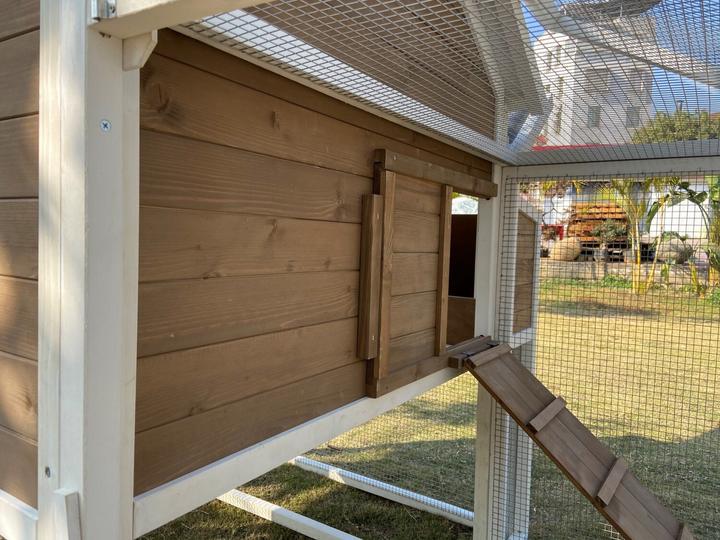 Produktbild Pet Homes Bettmeralp isoliert