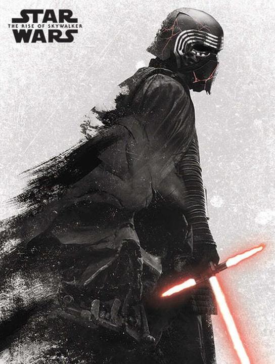 Produktbild Star Wars Leinwanddruck (80 x 60 cm)