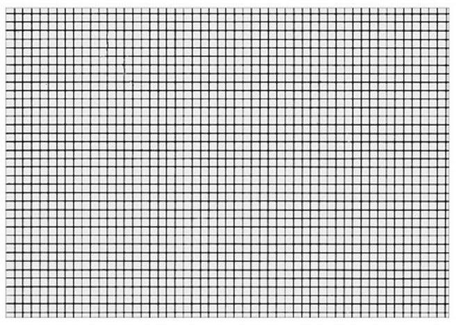 Image du produit Biella Fiches quadrillées 4mm A6 (A6, 200 g/m², 100 x)
