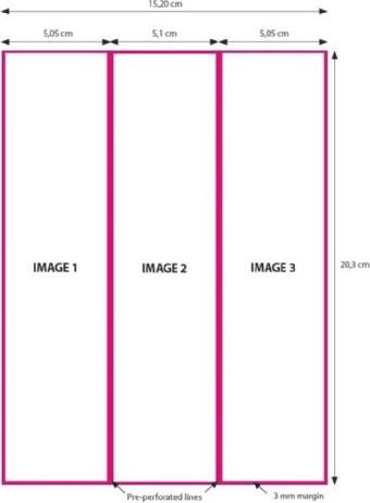 DNP Paper 2 rolls of 200 each 15x20 Perforated on 5x20 and 10x20 cm for DS620 (15 x 20 cm)