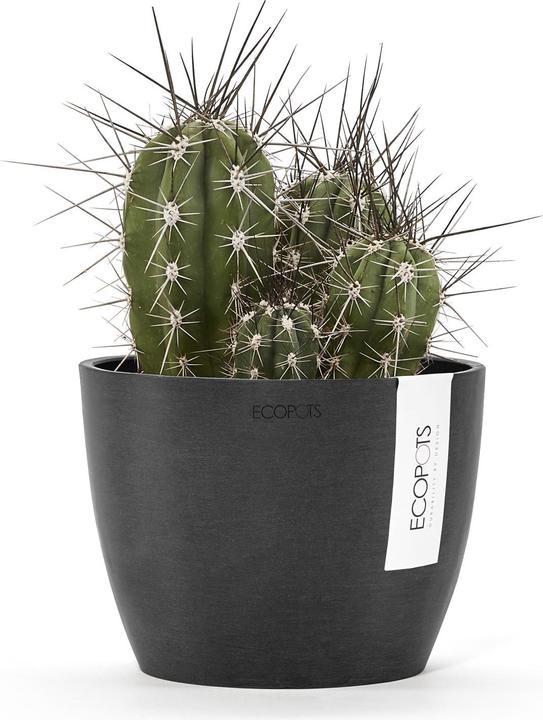 Produktbild Ecopots Stockholm (16 cm)