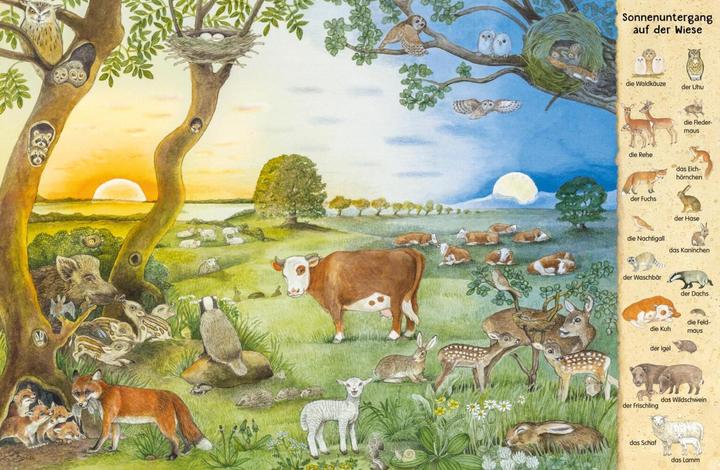 Produktbild Mein erstes Wimmelbuch: Tiere in der Nacht (Deutsch, Christine Henkel, 2018)