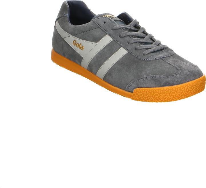Immagine prodotto Gola Harrier (41)