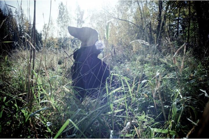 Produktbild Rukka Protect Hunde Overall (30, Hundeoverall)