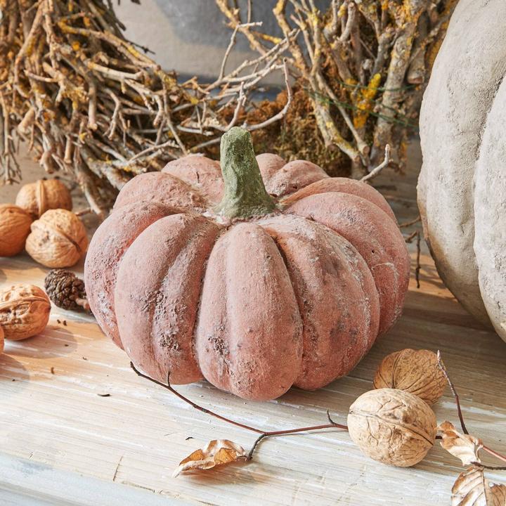 Actual product image Loberon Pumpkin