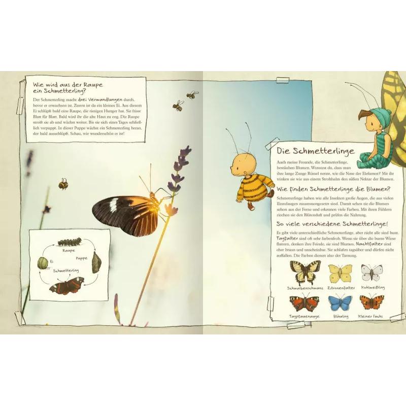 Thumbnail - Die kleine Hummel Bommel entdeckt die Wiese, Kinderbücher von Britta Sabbag, Maite Kelly