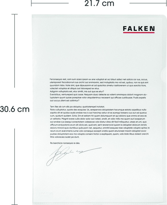 Actual product image Falken Economy file cover (A4, 100 x)