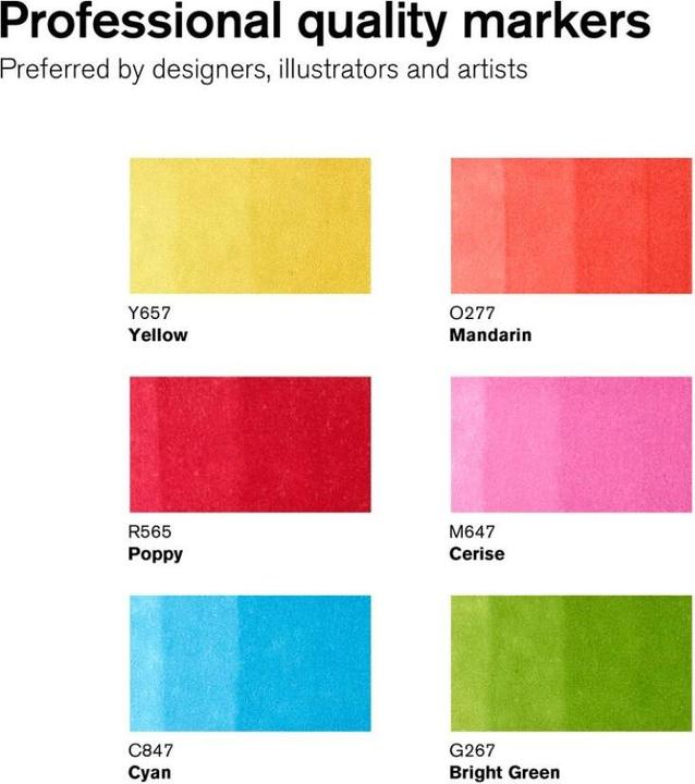 Actual product image Winsor & Newton 0290110 ProMarker, Professional layout marker - 2 tips, fine and wide for Zeic (6 x)