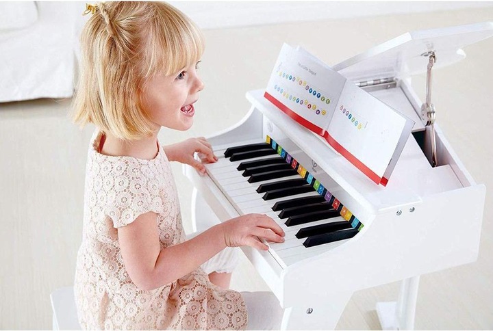 Actual product image Hape Luxury wings