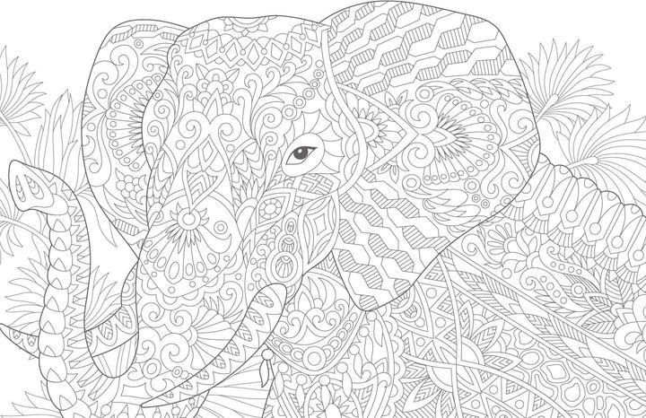 Produktbild Colorful Mandala – Mandala – Dschungeltiere