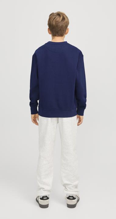 Image du produit Jack & Jones Jorvesterbro Sweat Crew Neck Noos Jnr (152)