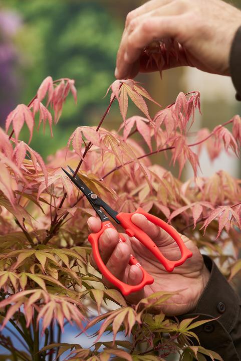 Produktbild Felco 420 Trimmschere