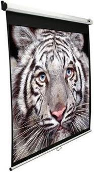 Actual product image Elite Screens Manual Serie (118.90", 1:1)