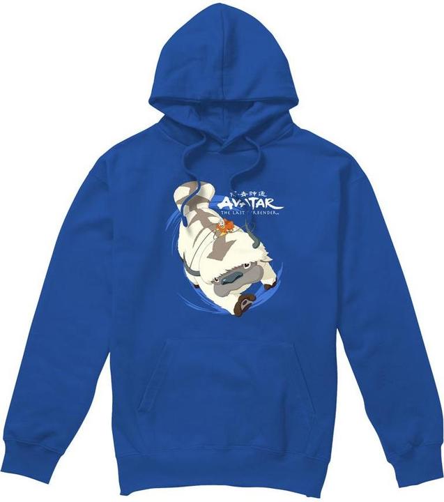 Image du produit Avatar: The Last Airbender - Sweat à capuche IN FLIGHT - Homme (L)