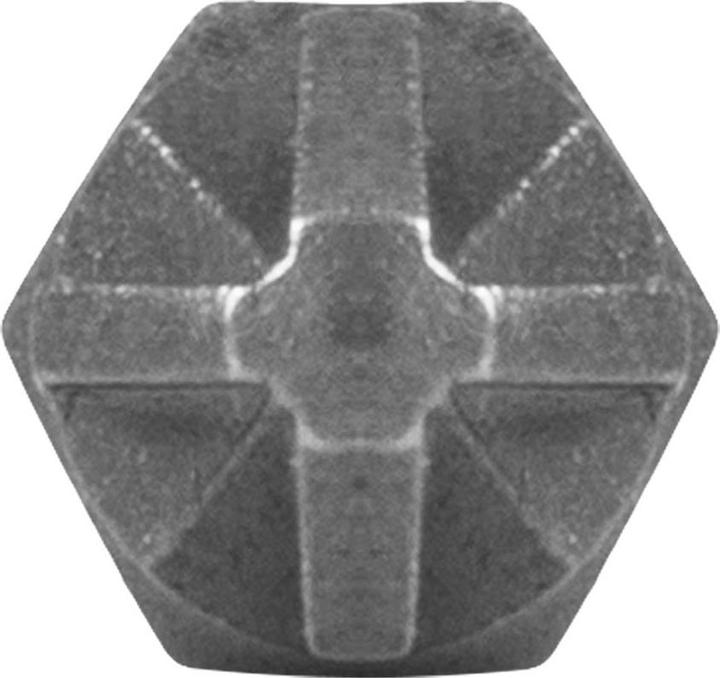 Actual product image Graphite Screwdriver bits PZ2 x 25 mm, 100 pcs. (PZ2)