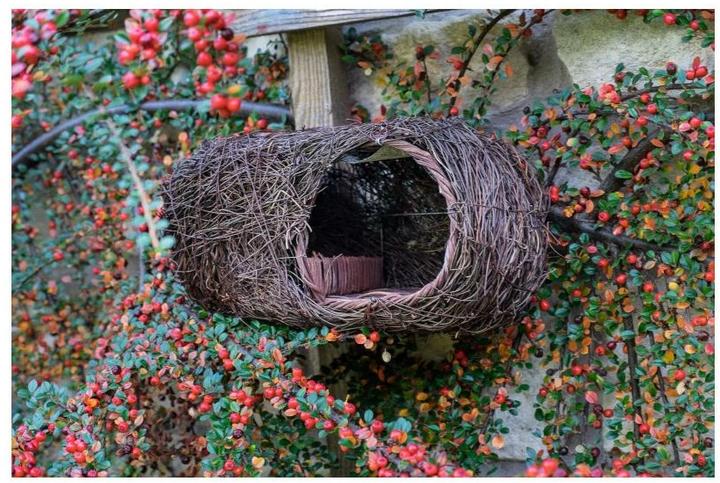 Immagine prodotto Wildlife World Cassetta nido