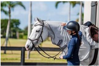 Produktbild Horseware Ausreitdecke Amigo