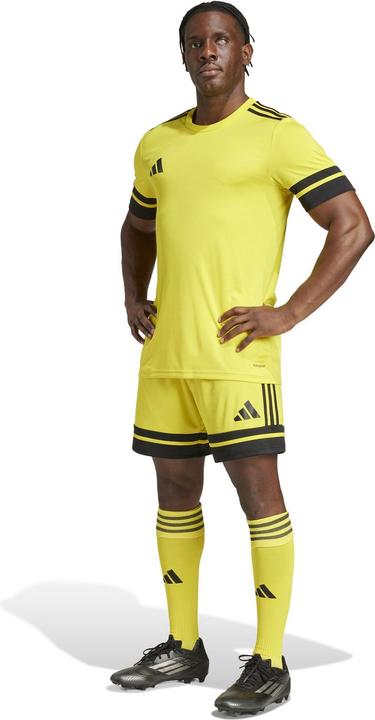 Actual product image adidas Squadra 25 Short (L)