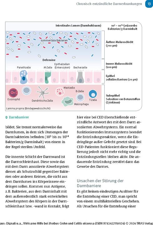 Immagine prodotto Wirksame Hilfe bei Morbus Crohn und Colitis ulcerosa (Tedesco, Jürgen-Michael Stein, Axel Dignass, Franz Hartmann, 2024)