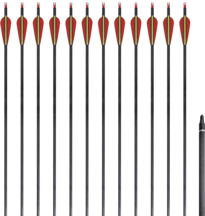 Actual product image vidaXL Pfeil