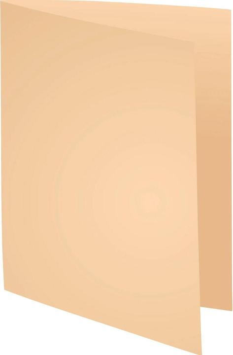 Produktbild Exacompta Aktendeckel (A4, 100 x)