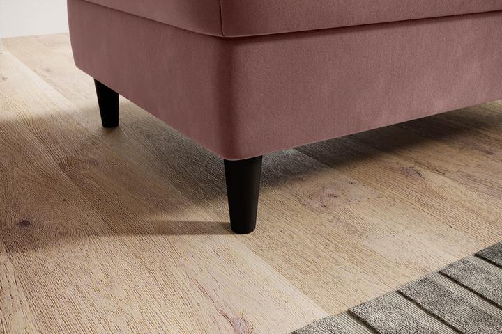 Actual product image ELTAP Bellis