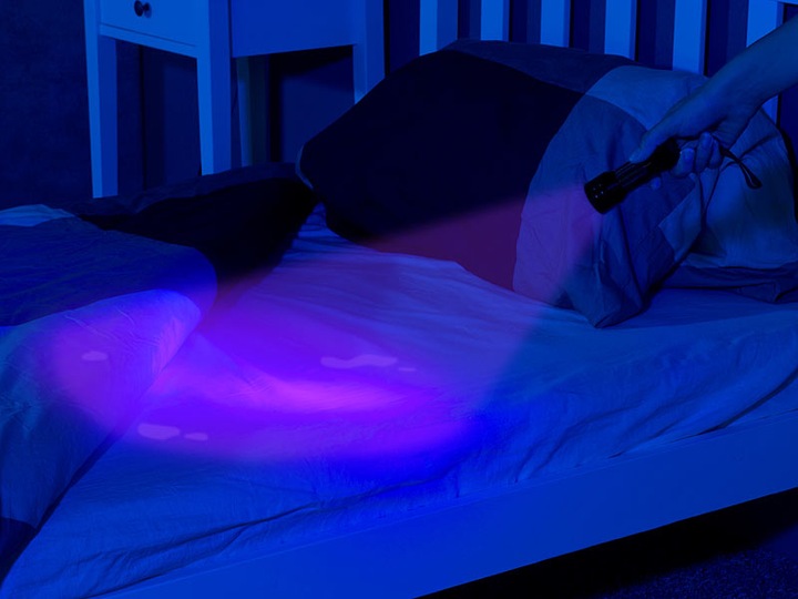 Produktbild Pearl Taschenlampe und Geldscheinprüfer (9.70 cm)