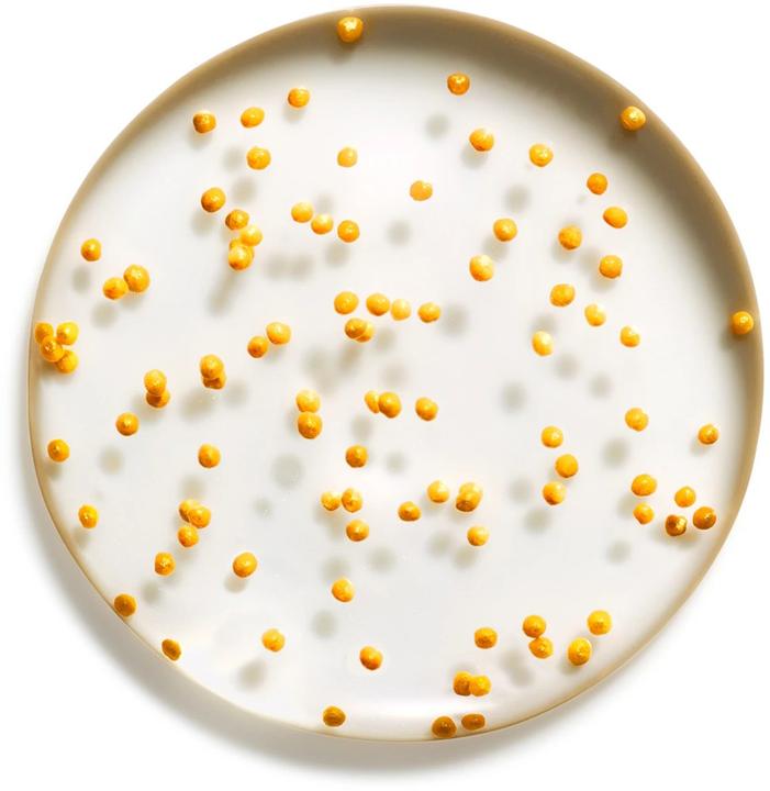 Produktbild Max Factor Miracle Pure Skin-Illuminating Serum (30 ml)