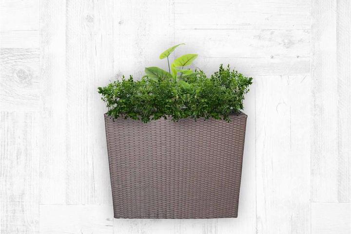 Produktbild TOP Rattan Blumentopf