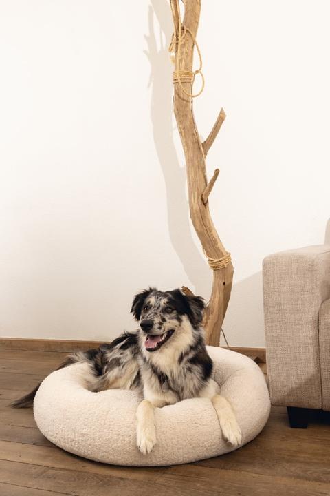 Actual product image Beeztees Memory Foam Couch Bed Jaxx (Dog)