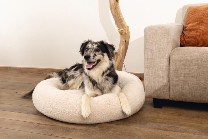 Actual product image Beeztees Memory Foam Couch Bed Jaxx (Dog)
