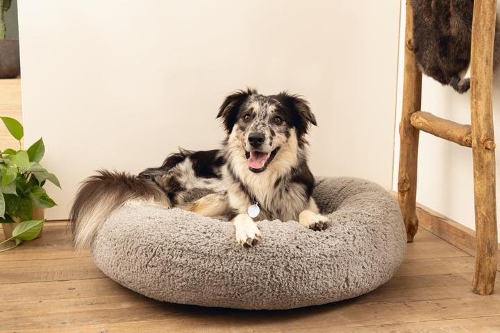 Actual product image Beeztees Memory Foam Couch Bed Jaxx (Dog)