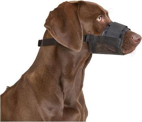 Immagine prodotto Kerbl Muso (Cane)