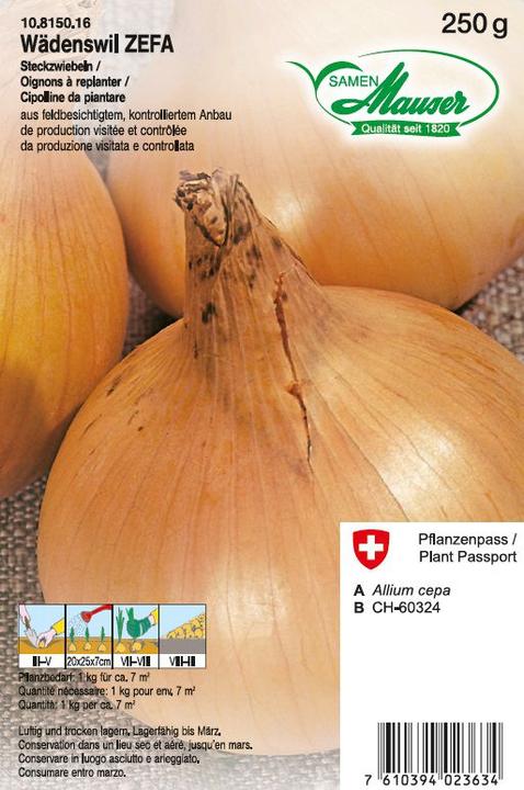 Produktbild Samen Mauser Steckzwiebel Wädenswiler ZEFA (Gemüsesamen)