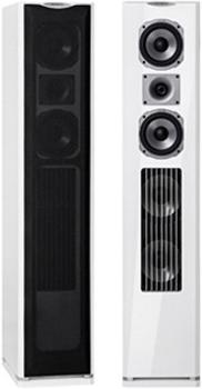 Actual product image Quadral Platinum M50 (1 pair)