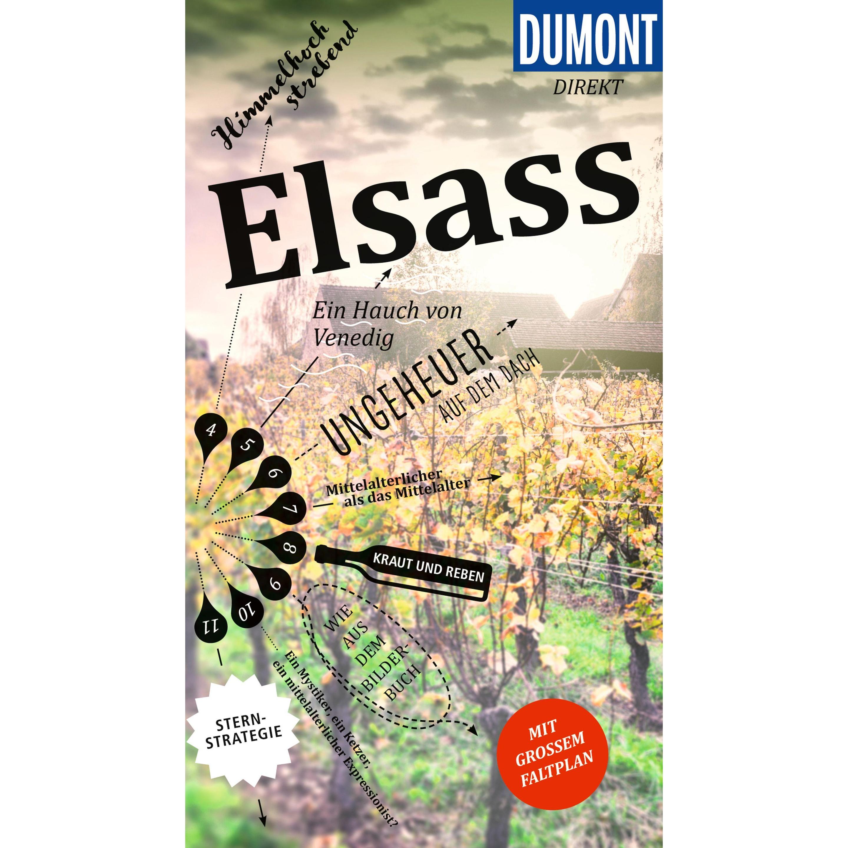 direkt Reiseführer Elsass, Ratgeber von Gabriele Kalmbach