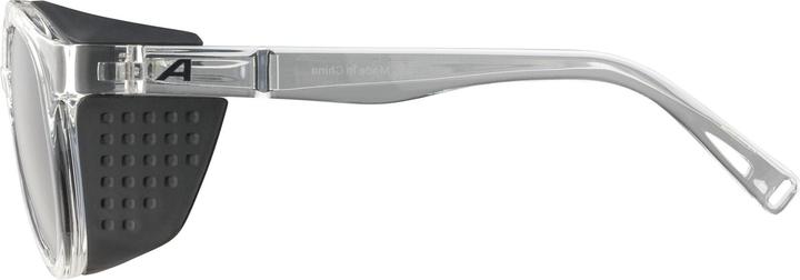 Image du produit ALPINA SPORTS Glace