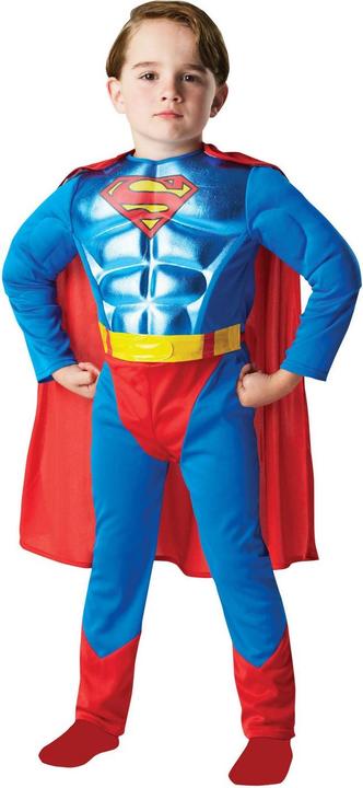 Actual product image Superman Childrens/Kids Metallic Costume (L)