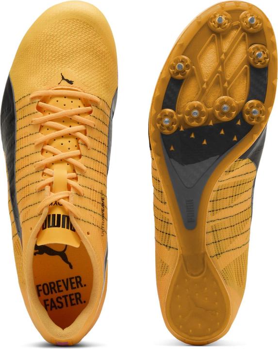 Actual product image Puma evoSPEED FUTURE 6 (40)