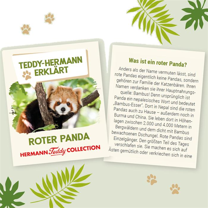 Actual product image Teddy Hermann Red panda 30cm (16 cm)