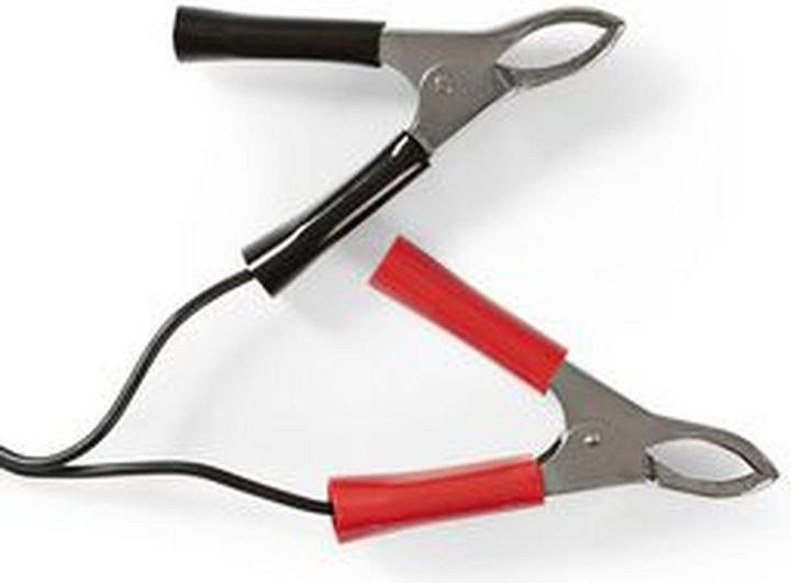 Produktbild Nedis Bleiakkuladegerät - 2/6/12 V - Vollautomatisches Ladegerät - Spannungswahlschalter - Verpolu (1 Stk., Ladegerät ohne Akku)