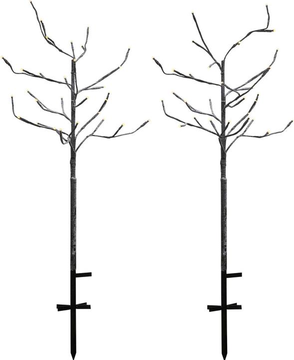 Actual product image Sirius Alex