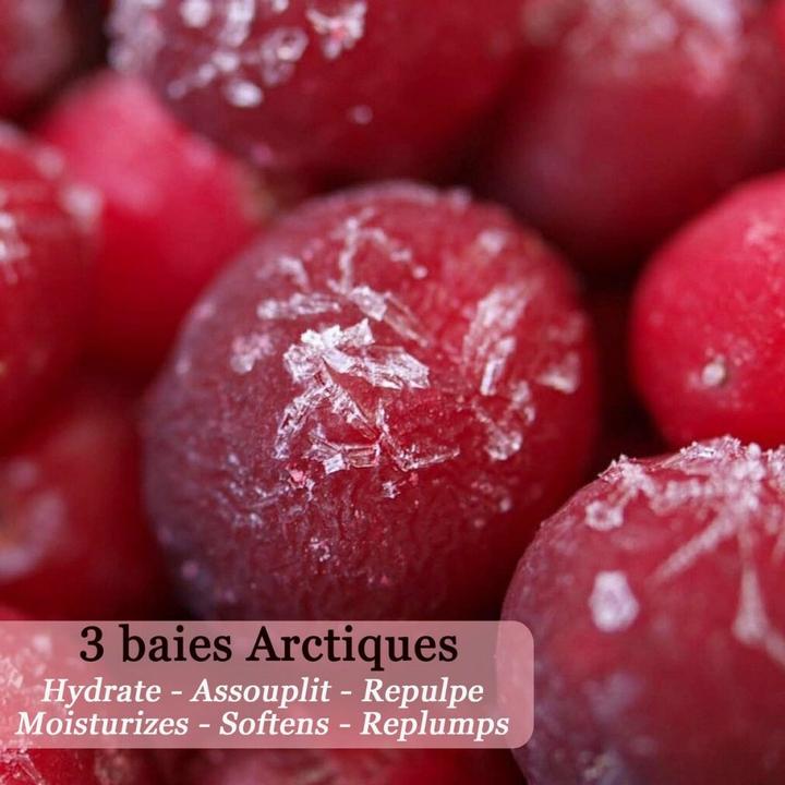 Immagine prodotto Polaar Crema THE GENUINE LAPLAND 50 ml (Crema per le labbra, 50 ml)