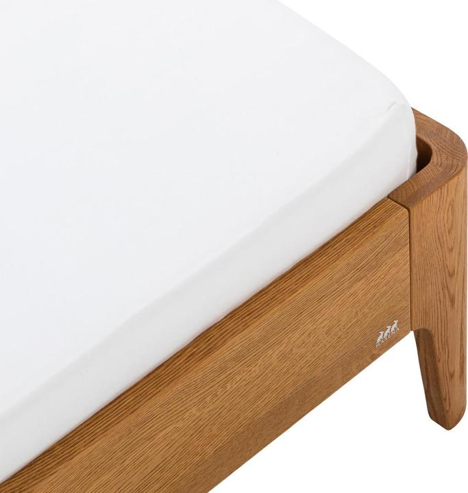 Hasena Oak-Line-2 (2.50 x 12.70 x 38 cm)