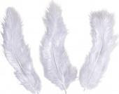 Image du produit Rayher Plume déco, blanche, 10 pièces