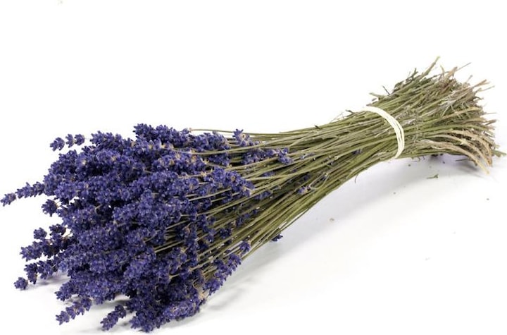 Immagine prodotto Anjel Mazzo di lavanda (Disposizione floreale)